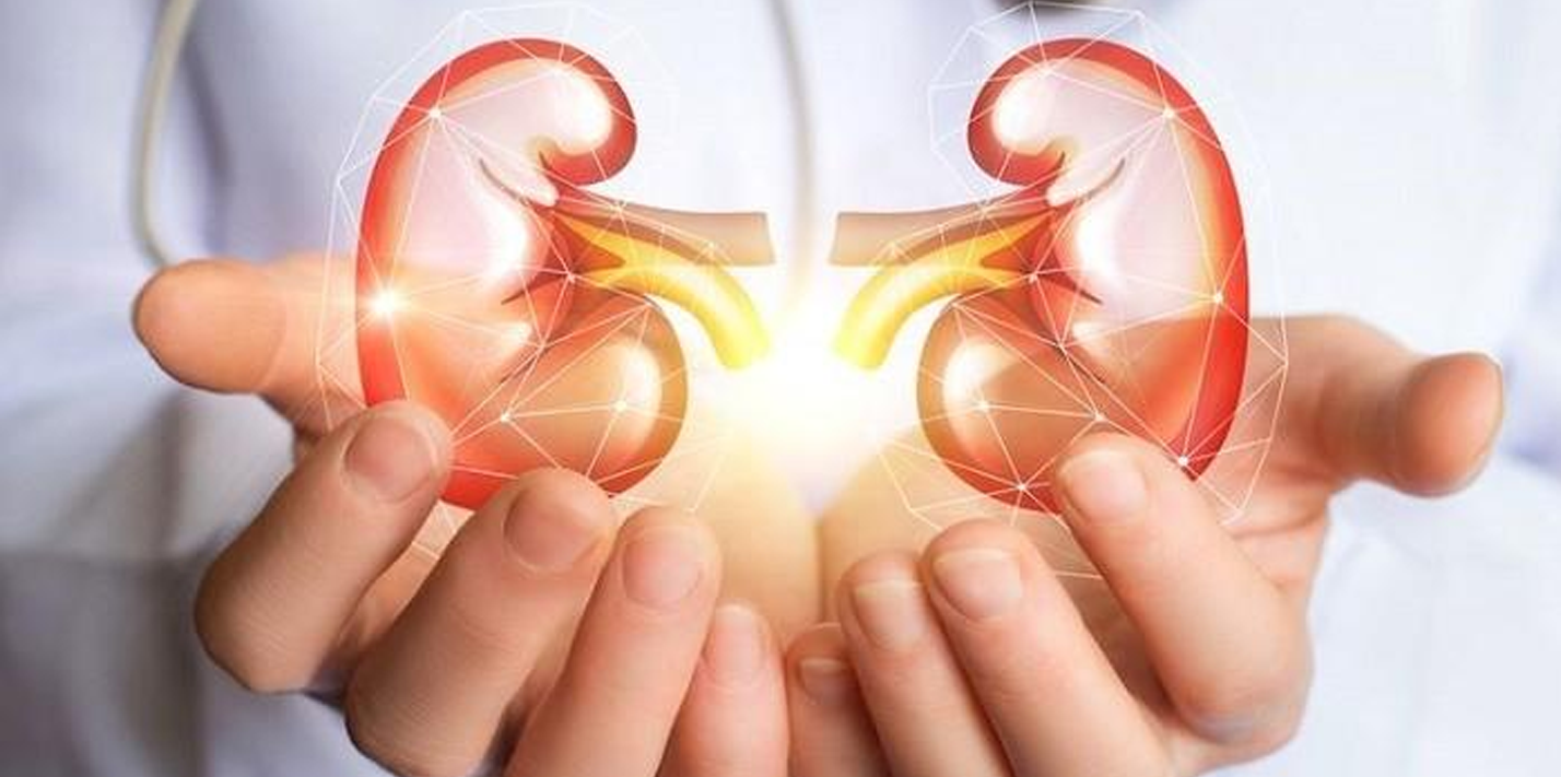 Gejala Penyakit Ginjal Kronis Sering Tidak Terasa, Tiba-tiba Stadium 5